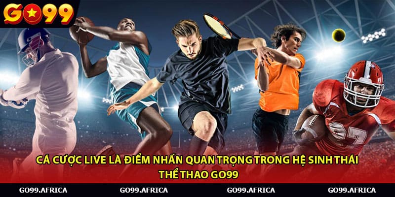 Cá cược live là điểm nhấn quan trọng trong hệ sinh thái thể thao Go99.